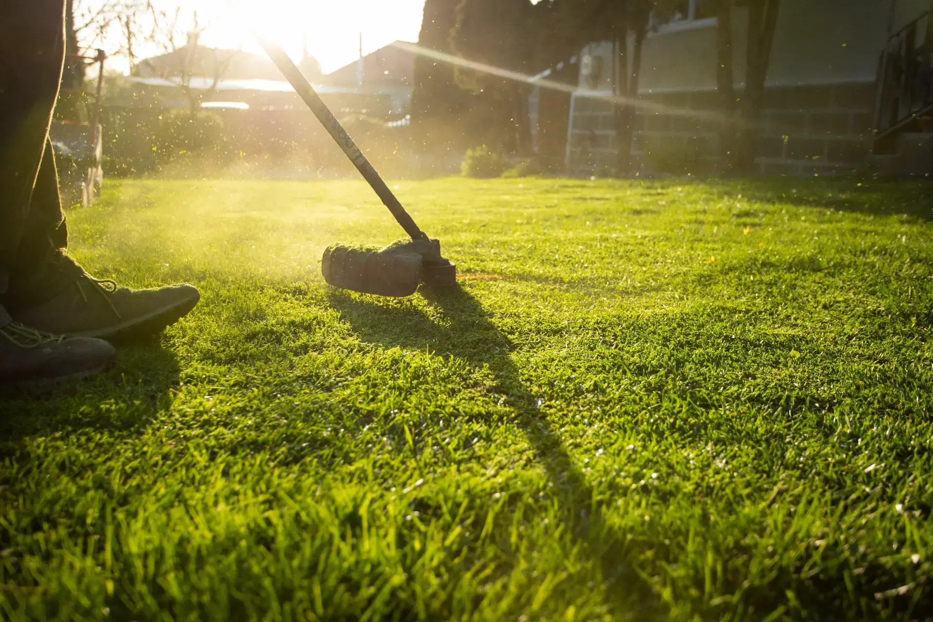 Lawn care services in New Jersey