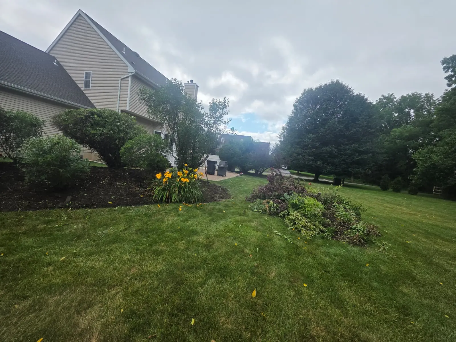 Mulch at proper depth in a New Jersey planting bed