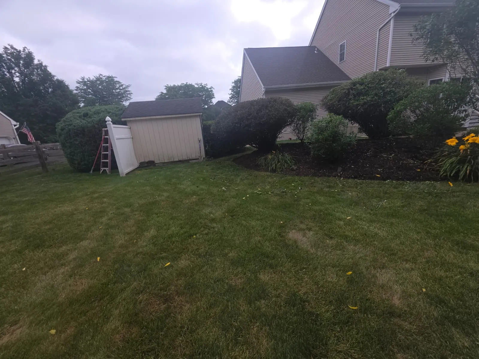 Fresh shredded hardwood mulch in a New Jersey bed
