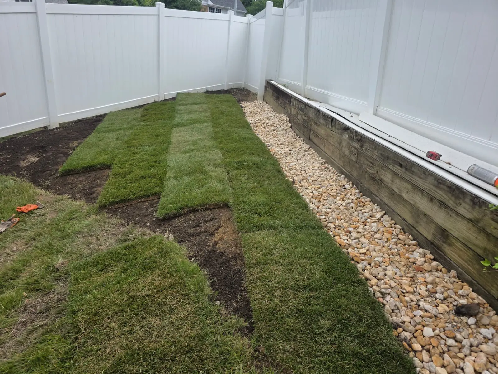 Established sod lawn in New Jersey
